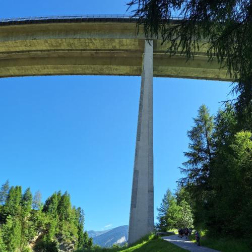 sattelbergalm