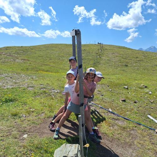 sattelbergalm