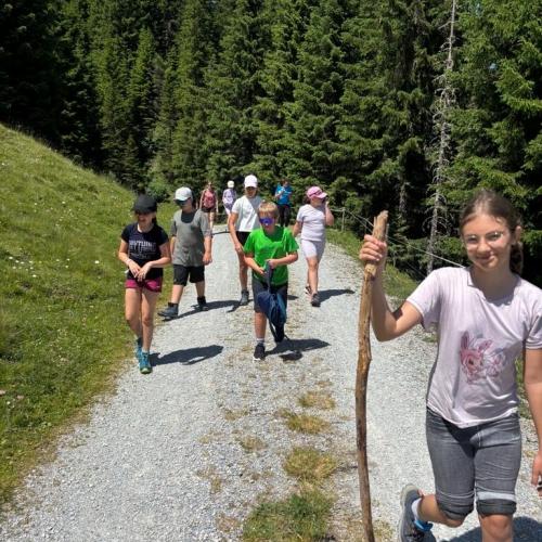 sattelbergalm