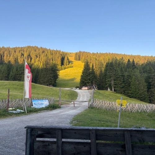 sattelbergalm