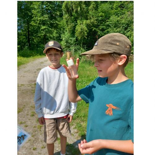 waldschule