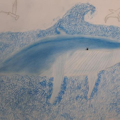 Zeichenwettbewerb Unterwasser Wal