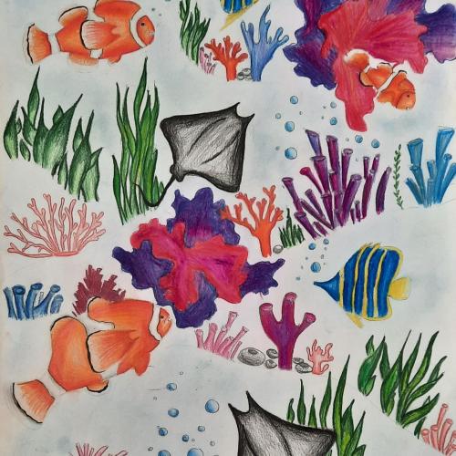 Zeichenwettbewerb Fische und Rochen